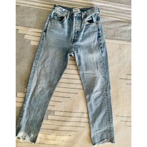 AGOLDE Riley Cropped Straight Leg Jean Size 24 in Zephyr - Originally $198